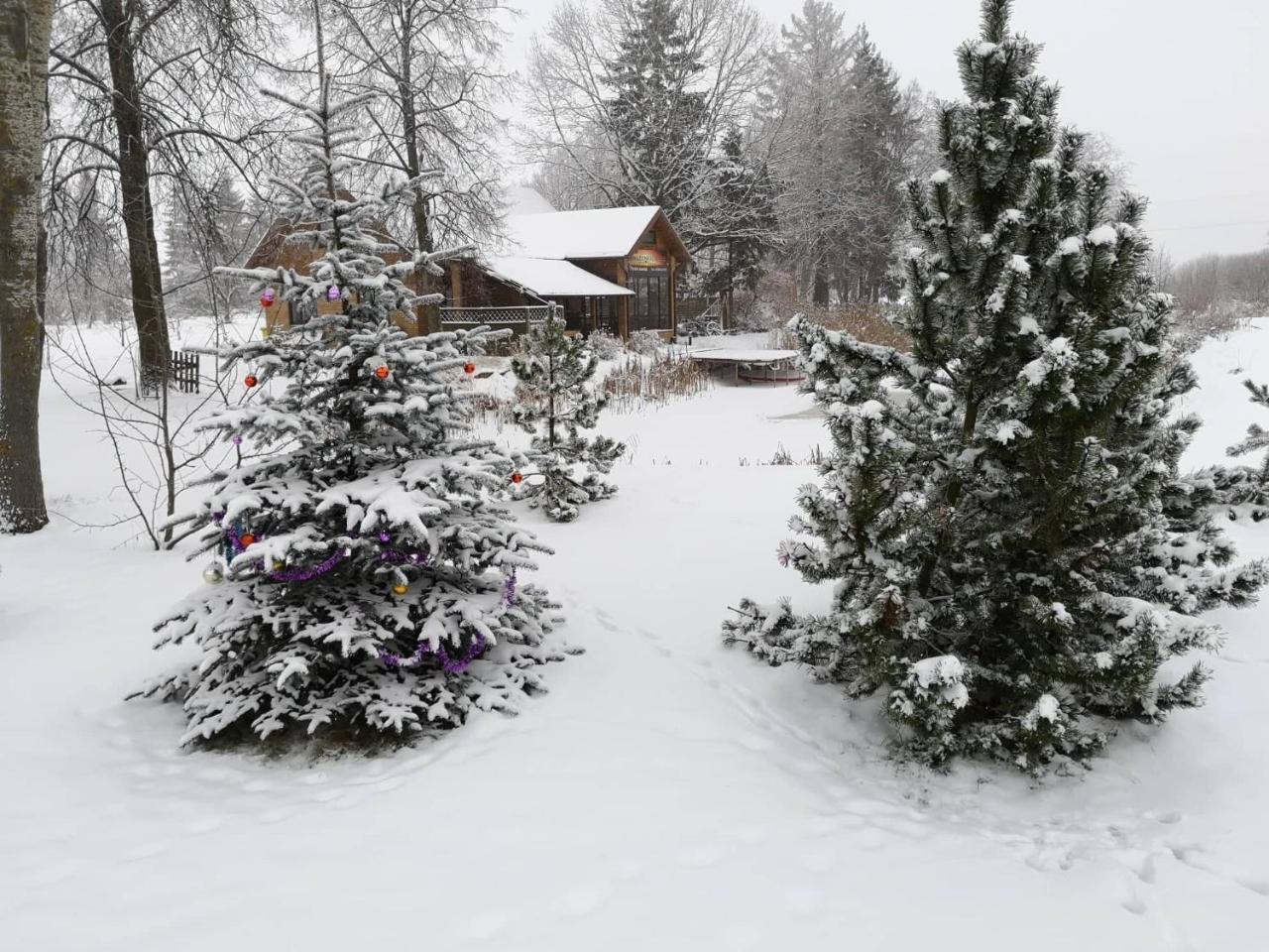 Raudonkalnis Guest House Mankiskiai ภายนอก รูปภาพ